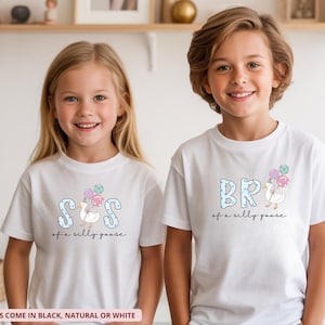 Funny kids sibling t shirts, pastel goose graphic with balloons, trendy youth matching tees, cute family gift for boys and girls