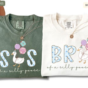 Funny sister brother t shirts Comfort Colors, aesthetic goose graphic with balloons, trendy matching sibling tees, soft vintage style shirts