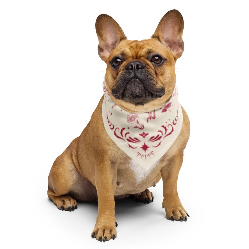 Witchy Herbs in Red All-over print bandana