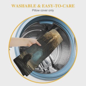 May include: A rectangular pillow cover featuring a dark fantasy illustration of a cloaked figure in a cavernous landscape, placed inside a washing machine drum. The text WASHABLE & EASY-TO-CARE and Pillow cover only are printed above the image.