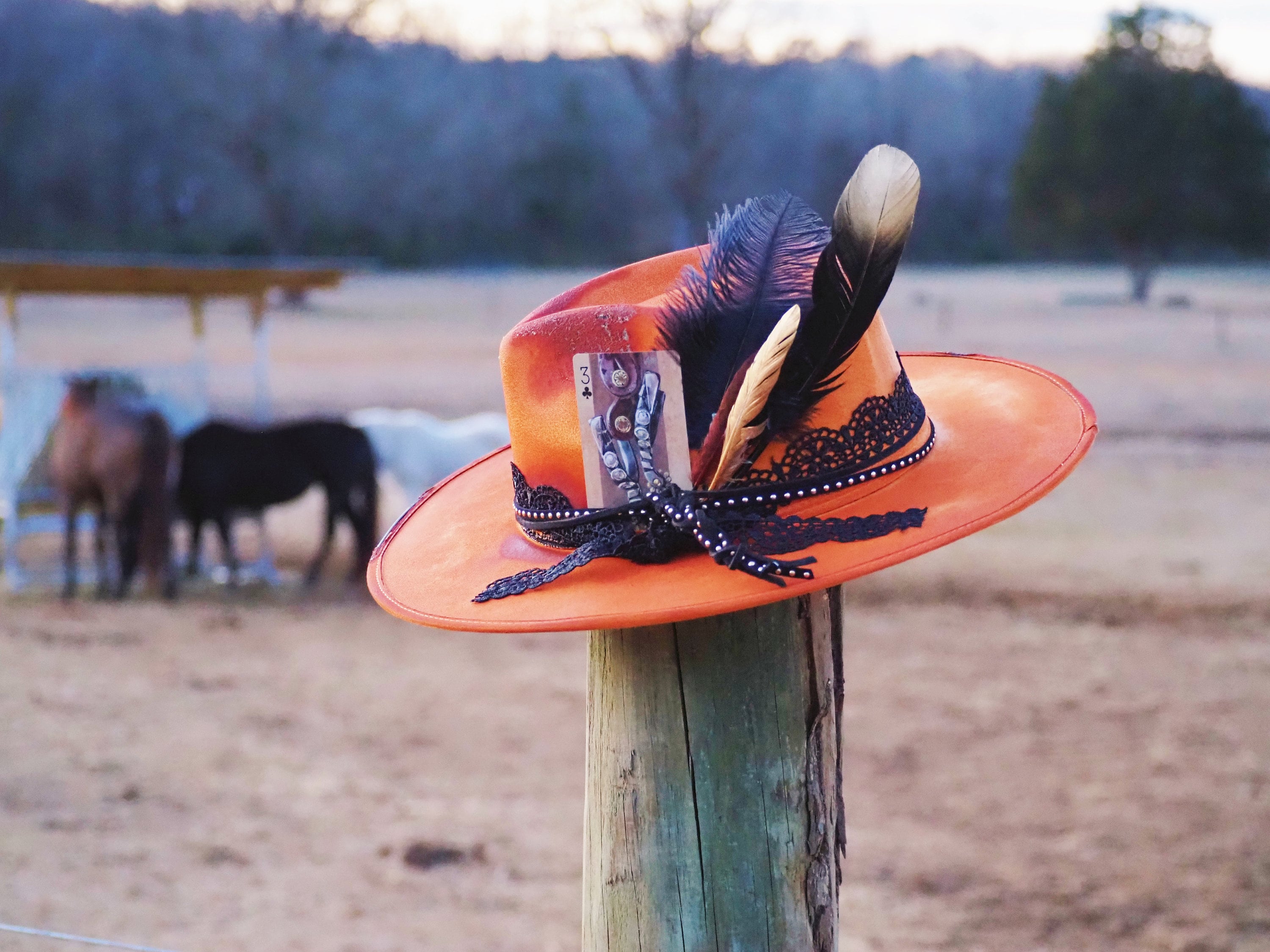 Lainey Wilson Hats 