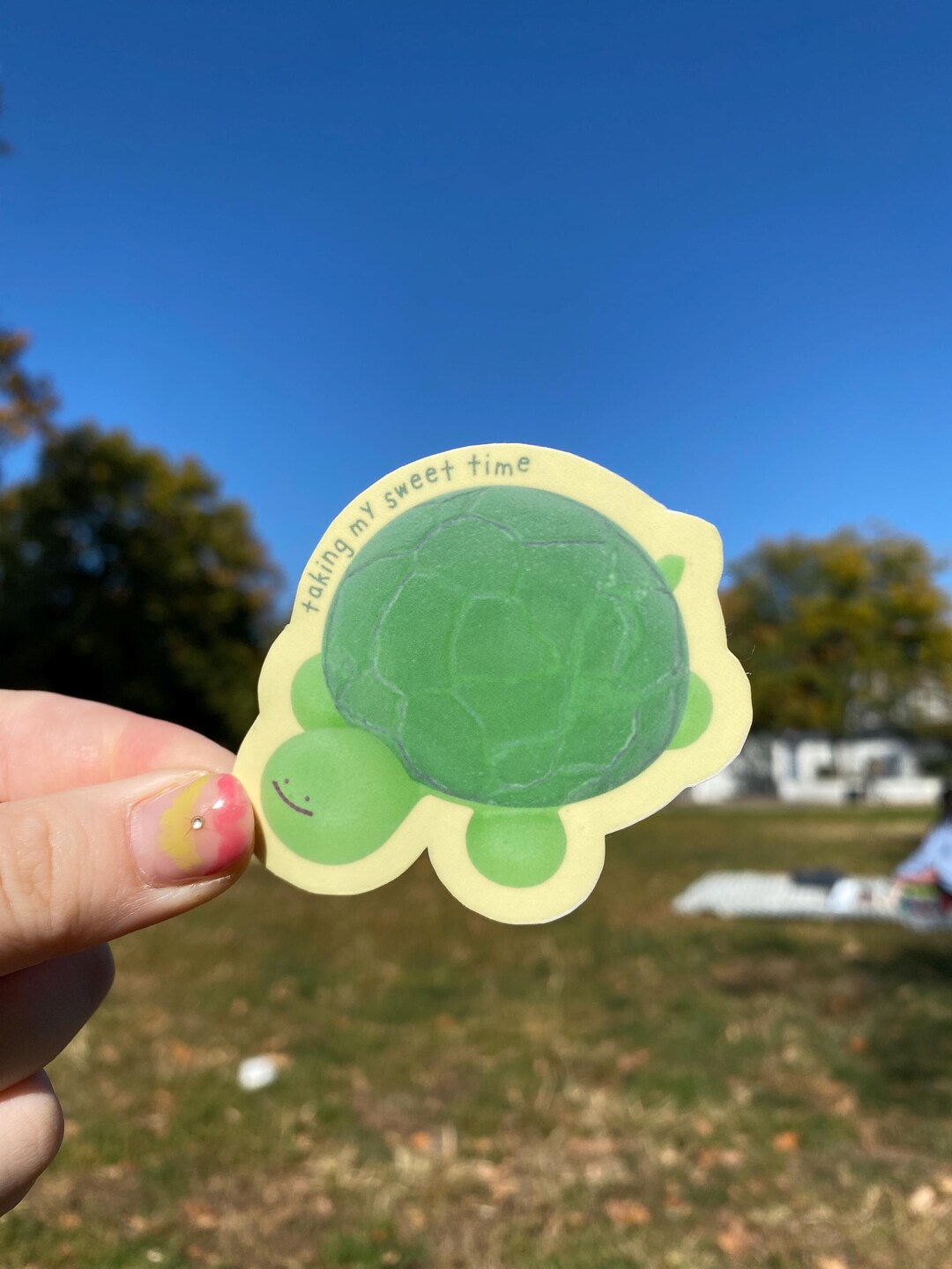 Turtle Vinyl Sticker, Slow Down Reminder - Etsy