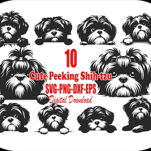 Cute Shih-Tzu Dog Graphic, SVG for Cricut, Printable Dog Design, Pet Lover Gift, Digital Download.