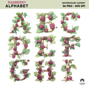Raspberry Alphabet Clipart Set Watercolor Letters and Numbers PNG ...