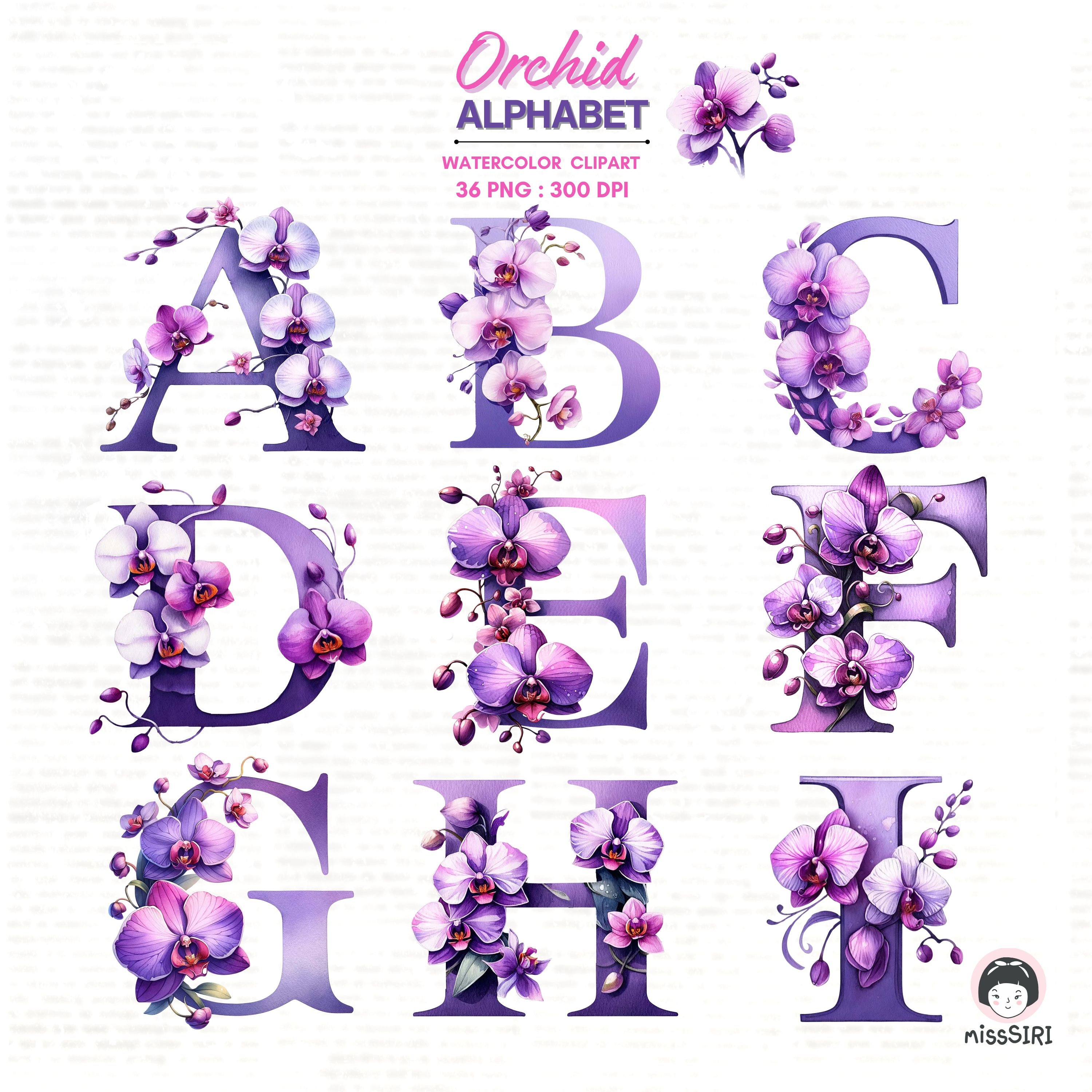 Orchids Lettering Botanical Watercolor Alphabet - Orchid Floral Letters Art - Etsy
