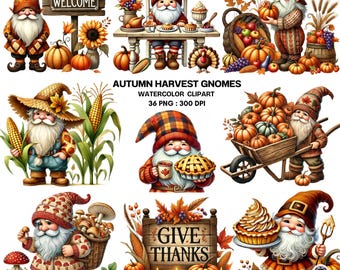 Autumn Harvest Gnomes Clipart Set | 36 Watercolor PNGs with Pumpkins, Corn, Pies and Cozy Fall Elements for Thanksgiving Decor