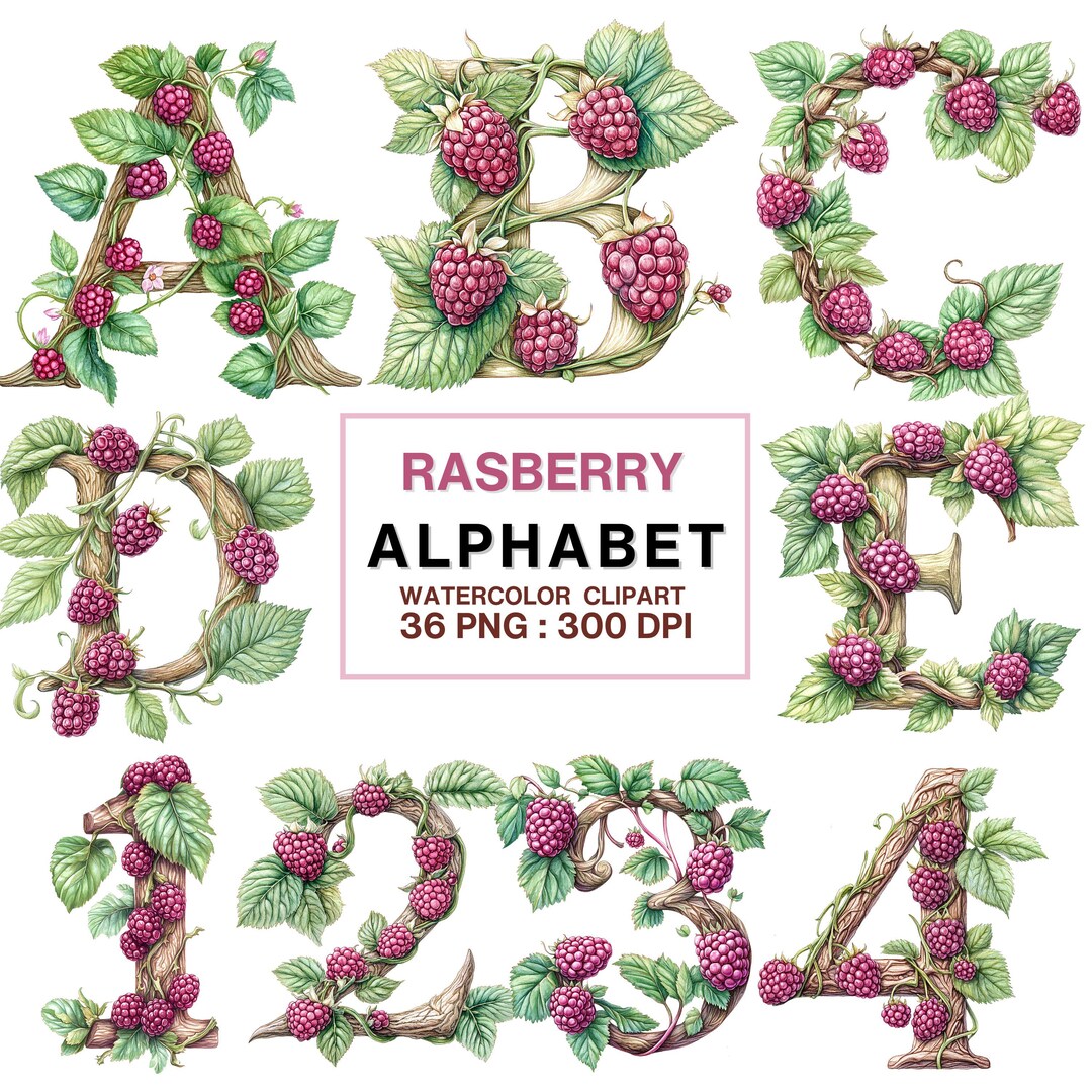 Raspberry Alphabet Clipart Set Watercolor Letters and Numbers PNG ...