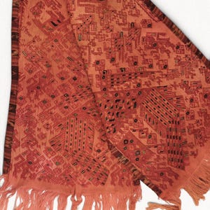 Op de afbeelding: Een gedetailleerd, roestkleurig textiel met ingewikkelde geometrische en gestileerde dierenpatronen. De stof heeft een gefranjerde rand en een donkerbruine rand. Het ontwerp is een complexe rangschikking van vormen en lijnen, waardoor een rijke visuele textuur ontstaat.
