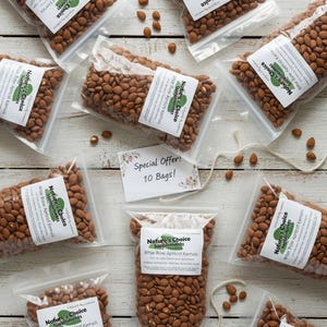 May include: Multiple clear plastic bags filled with brown apricot kernels, labeled "Nature's Choice Supplements Bitter Row Apricot Kernels." A sign reads "Special Offer! 10 Bags!" on a light wood surface.