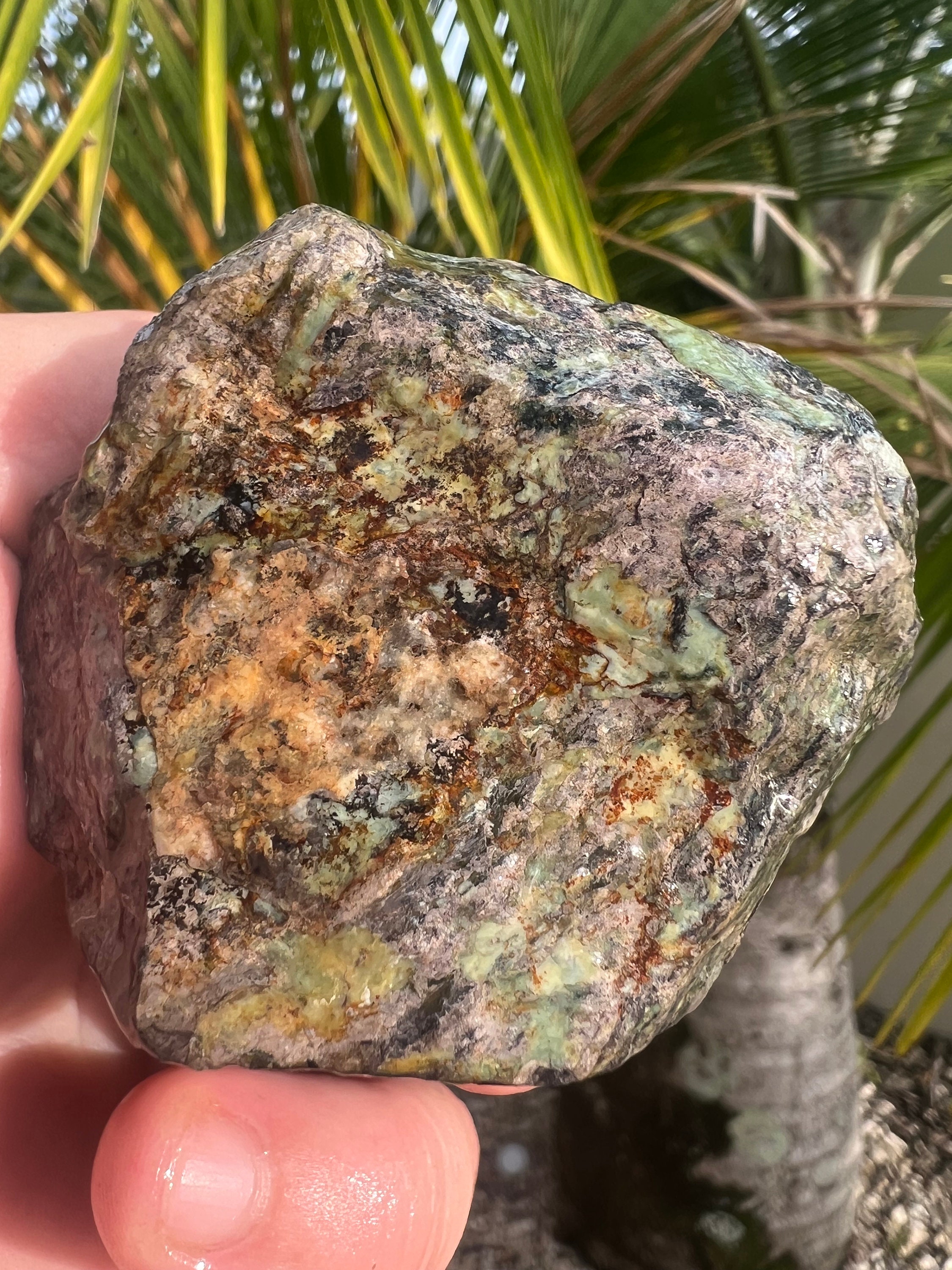 Australian Rough Serpentine Serpentinite Chunk 310 Grams Natural Raw ...
