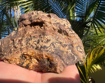 Könnte beinhalten: Nahaufnahme eines großen, unregelmäßig geformten Steins mit einem braunen, braunen und schwarzen Marmormuster. Der Stein hat ein glitzerndes, funkelndes Aussehen.