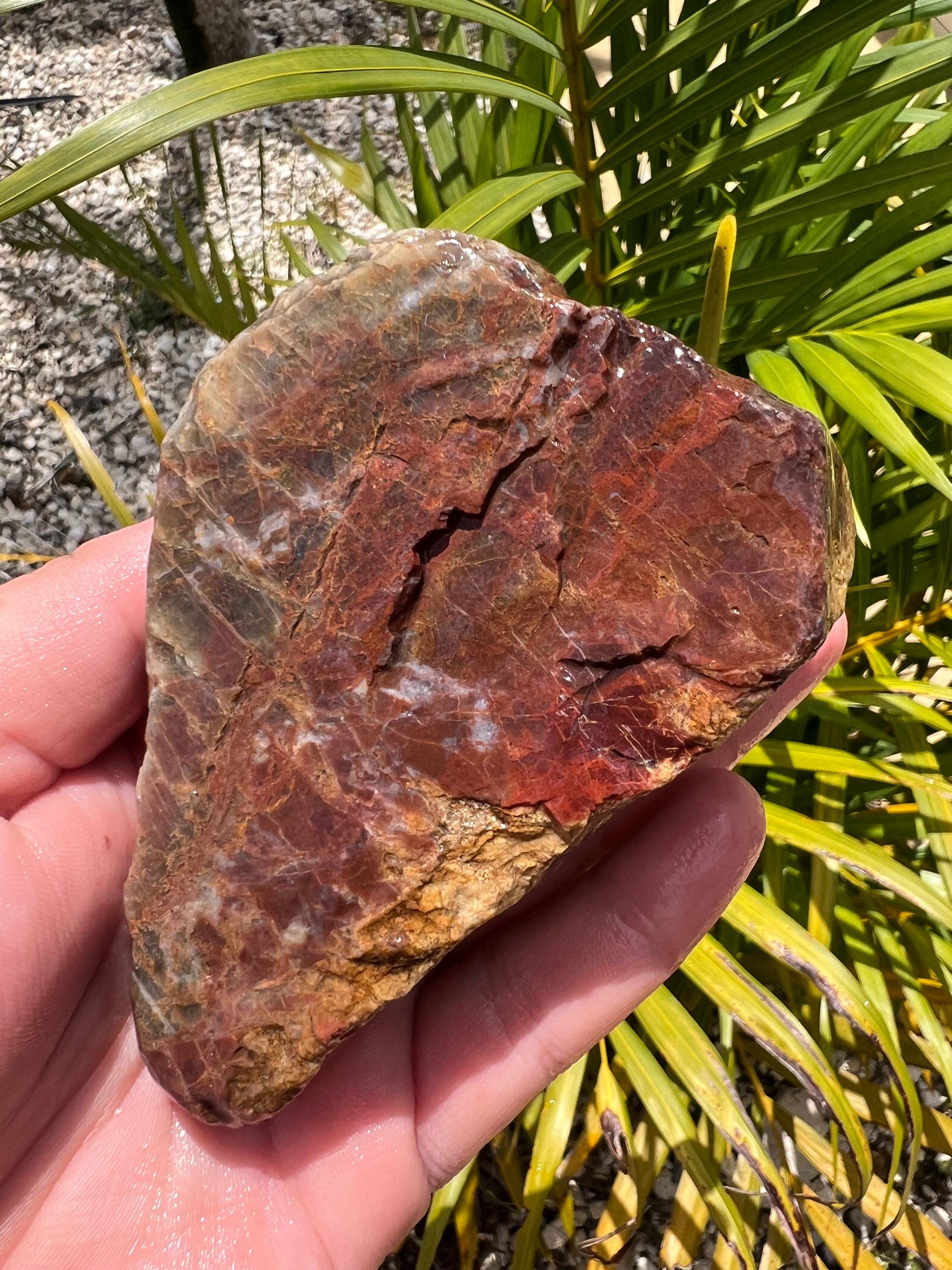 アクセサリー ROCK Australian Rough Brecciated Jasper Chalcedony Small Chunk 360