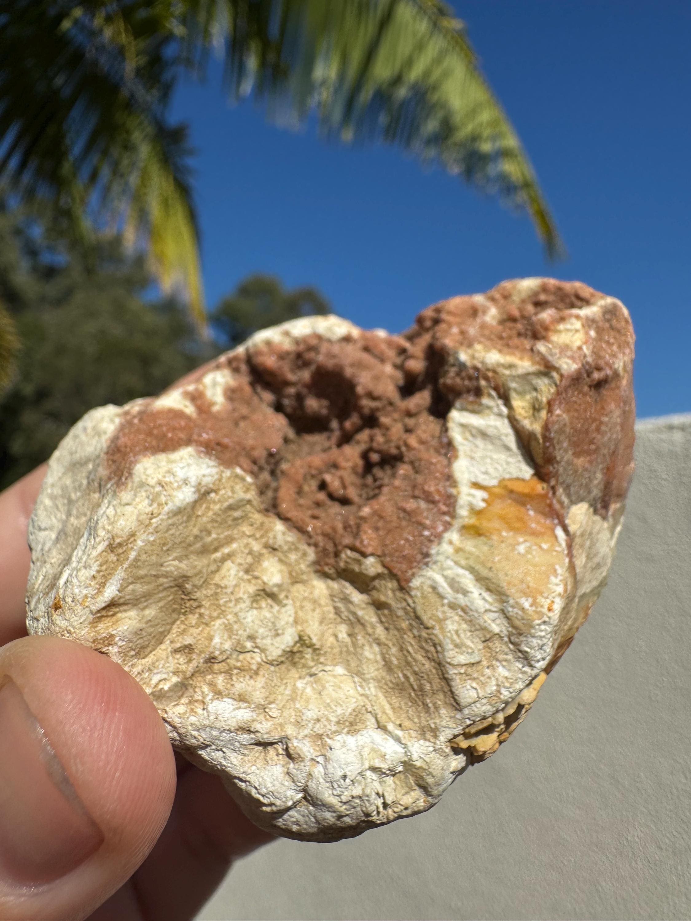 Australian Rough Thunderegg Botryoidal Red Amethyst Druzy Boulder Chunk ...