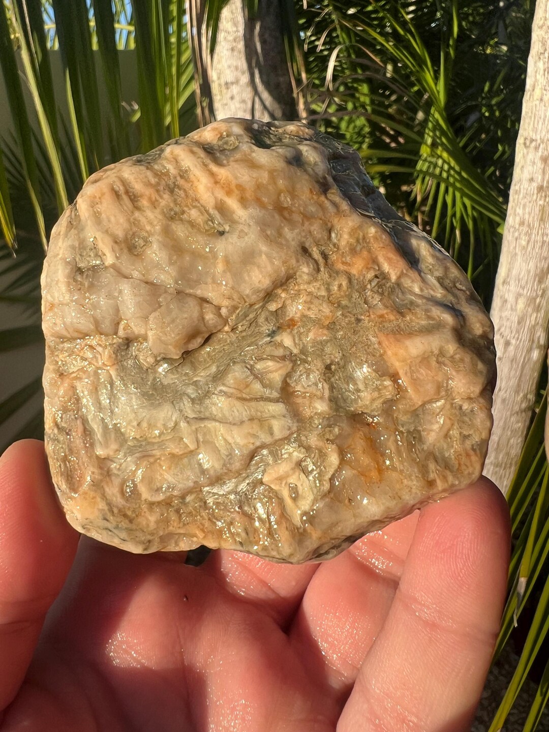 Australian Rough Metallic Schist Phyllite Silicified Chalcedony 370 ...