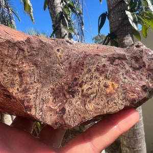 May include: A large, irregularly shaped rock with a reddish-brown colour and a mottled surface. The rock has a rough texture and appears to be made of sedimentary rock.