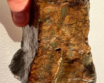 May include: A large, irregularly shaped rock with a brown, green, and white marbled pattern. The rock has a smooth, polished surface.