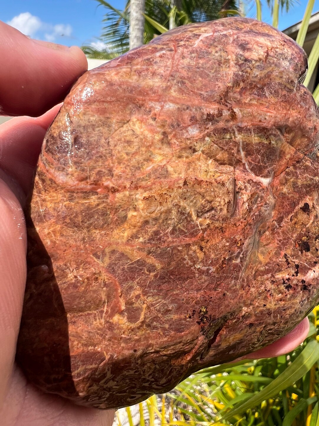 Australian Rough Brecciated Chalcedony Boulder 1130 Grams Natural Raw ...