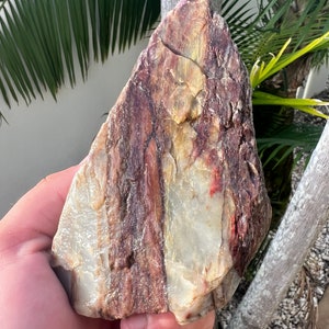 May include: A large, irregularly shaped rock with a layered, striped pattern in shades of white, brown, and red.