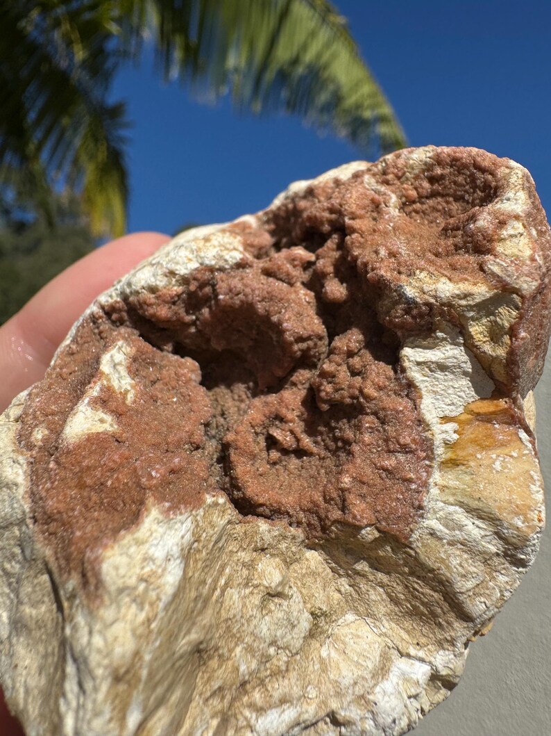 Australian Rough Thunderegg Botryoidal Red Amethyst Druzy Boulder Chunk ...