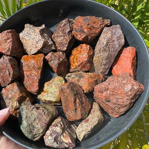 May include: A selection of raw stones in a black bowl. The stones display a variety of colours, including red, orange, brown, and green. The bowl is held by a hand, with green foliage in the background.