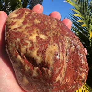 Australian Rough Red Jasper quartz Chalcedony Chunk 940 grams Natural Raw Specimen Collector Rocks Gemstone Brecciated Jasper