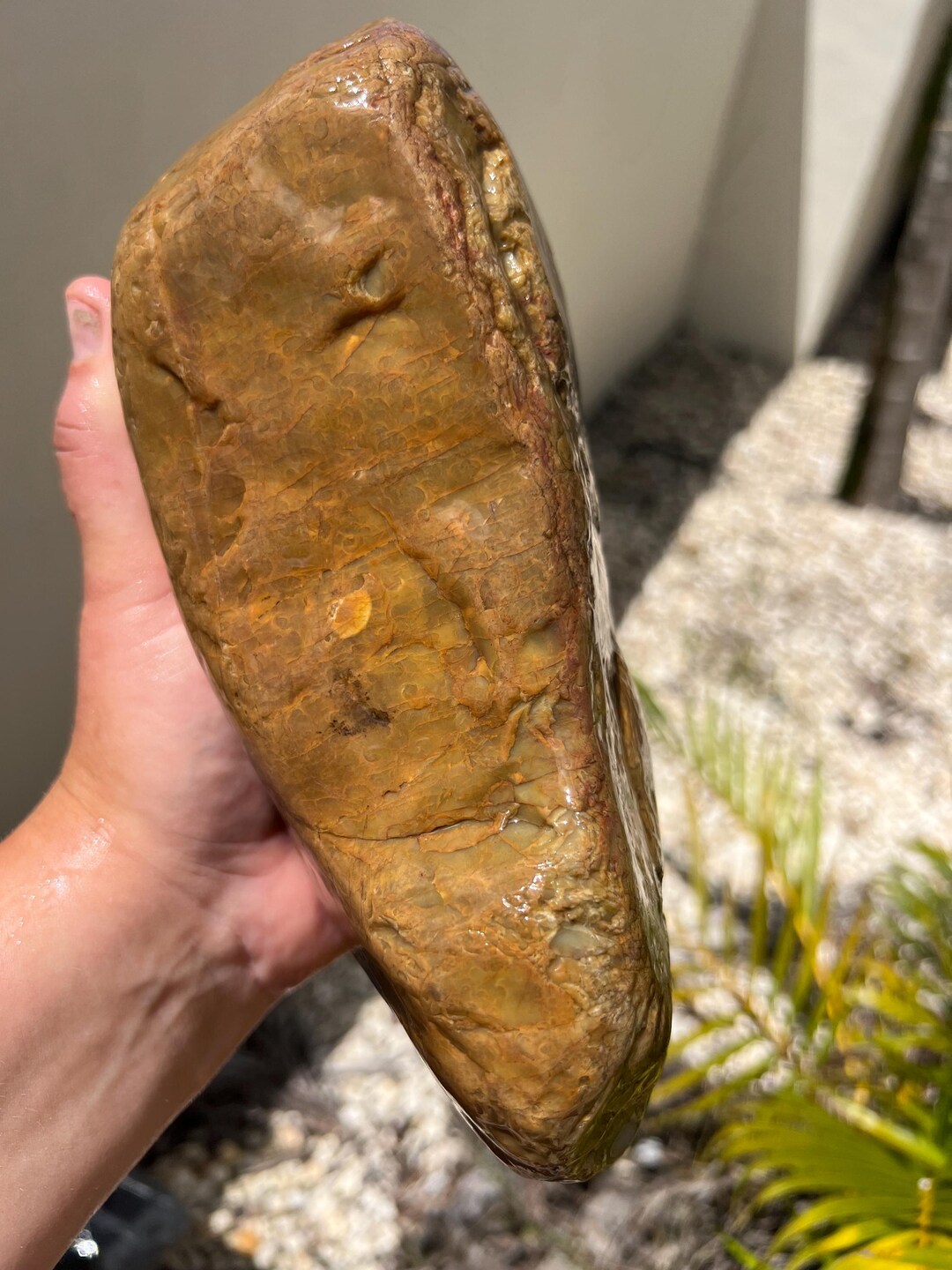 Australian Rough Chalcedony Boulder 4990 Grams Natural Raw Specimen ...