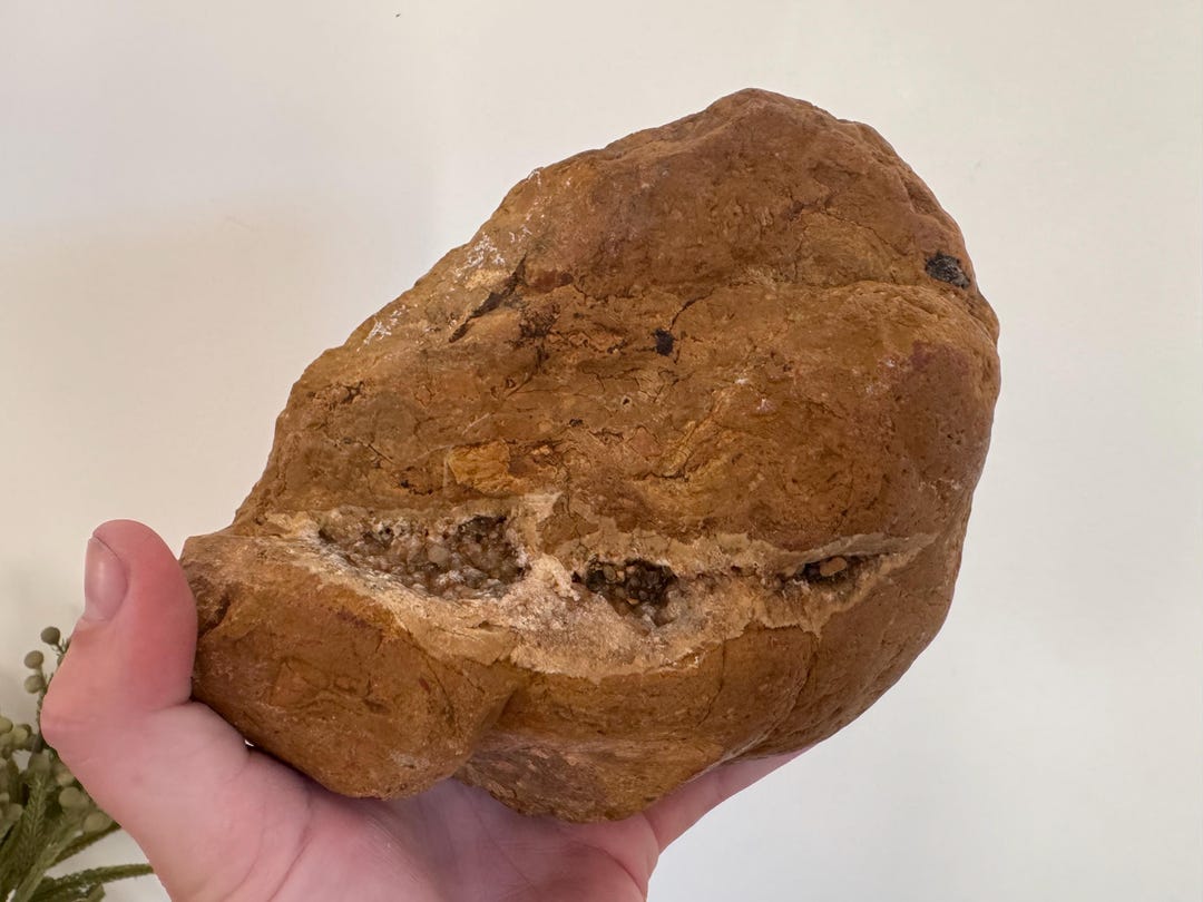 Australian Rough Citrine Quartz on Agate Boulder 1980 Grams