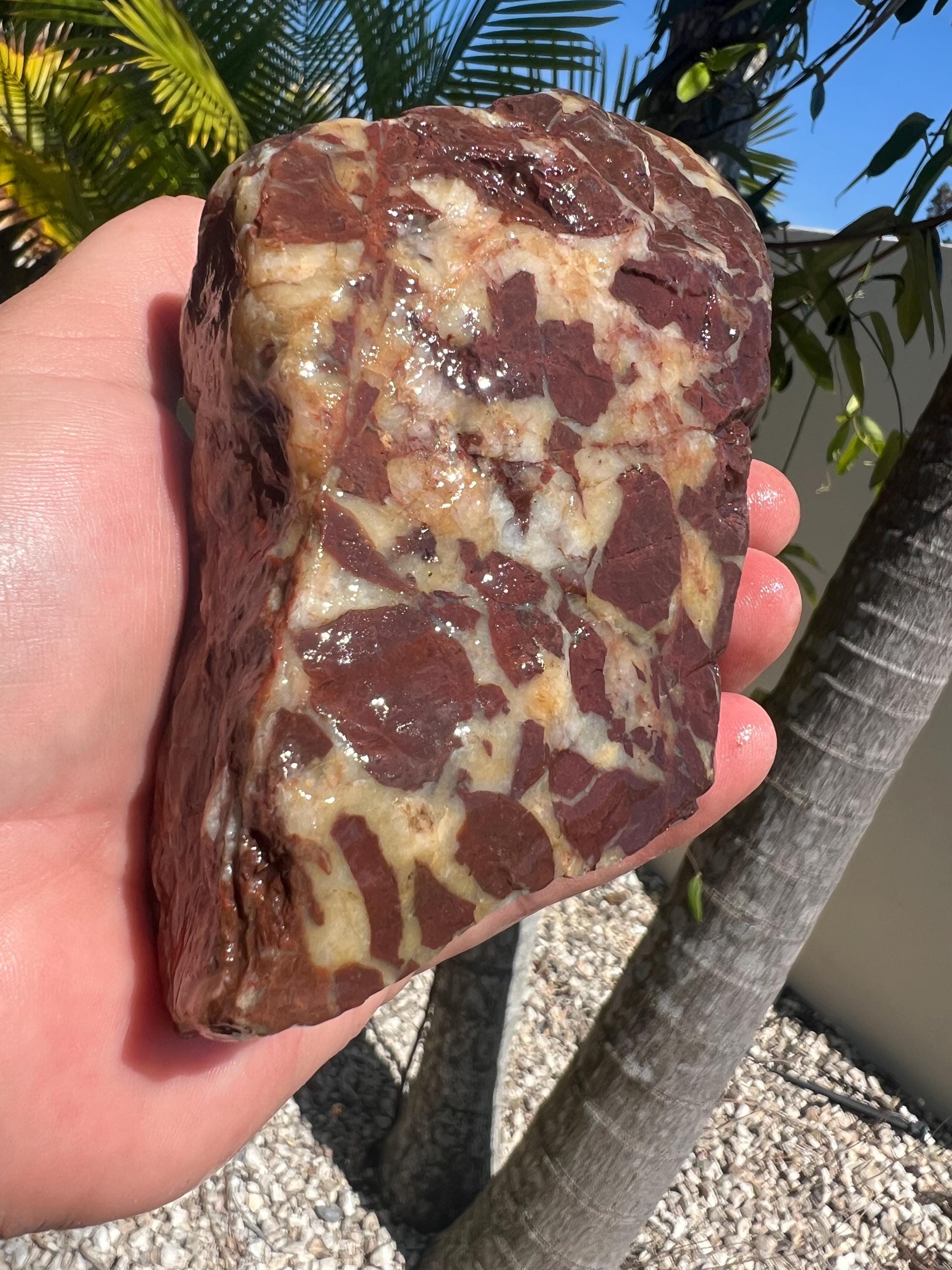 Australian Rough Brecciated Quartz Red Jasper Chunk 830 Grams