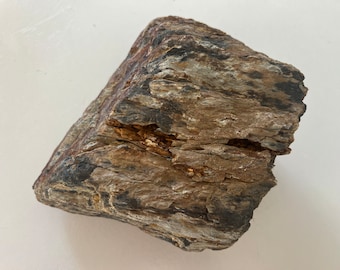 Könnte beinhalten: Ein Stück versteinertem Holz mit einer rauen, strukturierten Oberfläche. Das Holz ist eine Mischung aus braunen, grauen und schwarzen Farben.