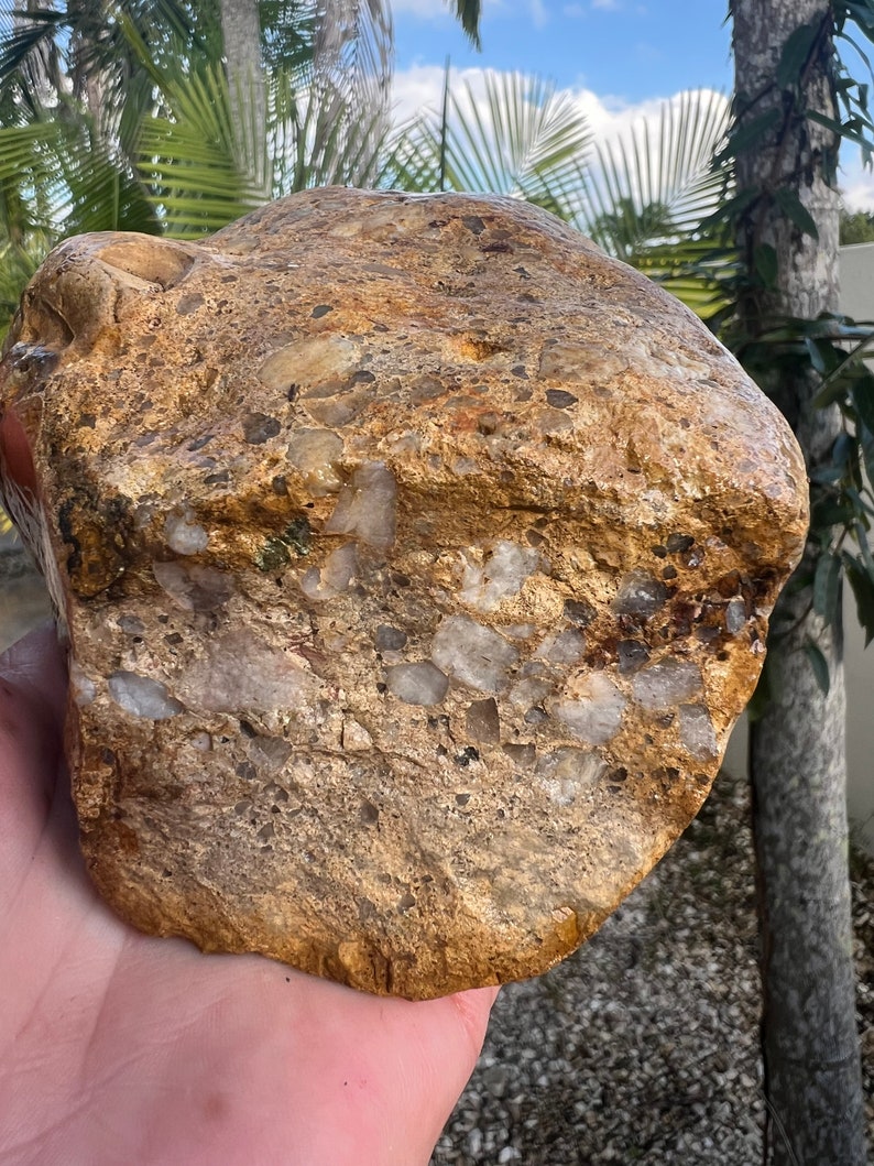 Large Collector Rocks Australian Rough Conglomerate 1545 Grams Chalcedony Silicified ...