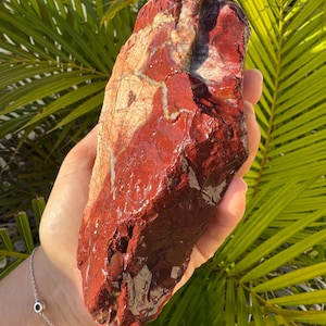 May include: A large, irregular piece of raw jasper stone featuring a striking contrast between deep, glossy red sections and matte, textured beige areas with thin, light-coloured mineral veins running across the surface of the rock.