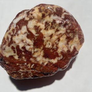 Australian Rough Red Jasper quartz Chalcedony Chunk 740 grams Natural Raw Specimen Collector Rocks Gemstone Brecciated Jasper