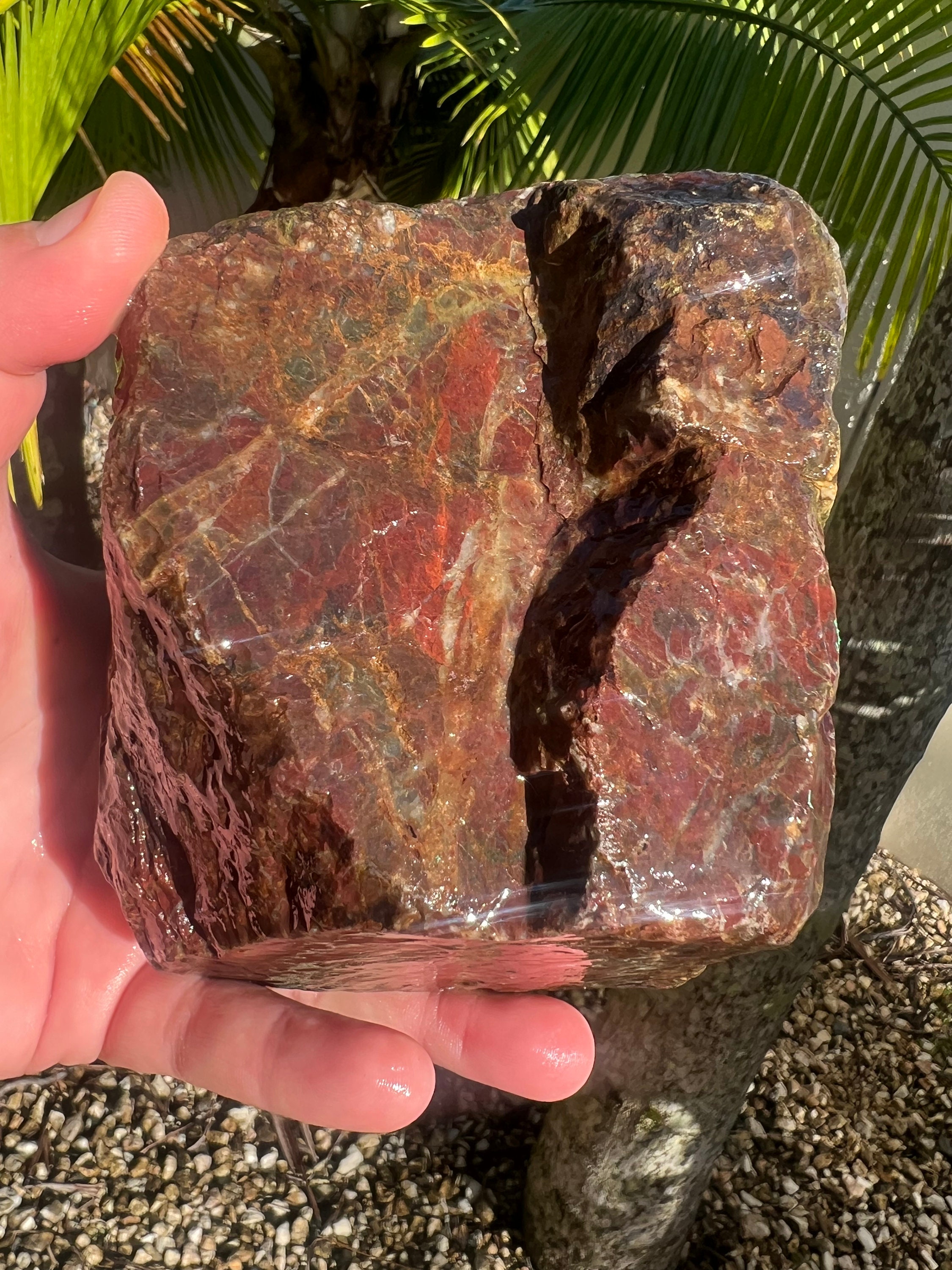Australian Rough Brecciated Jasper 2550 Grams Chunk Natural Raw