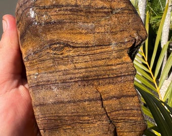 Calcedonio australiano grezzo con zigrinatura in acqua, 950 grammi, rocce da collezione naturali, rocce rare a bande, zigrinatura gemmosa