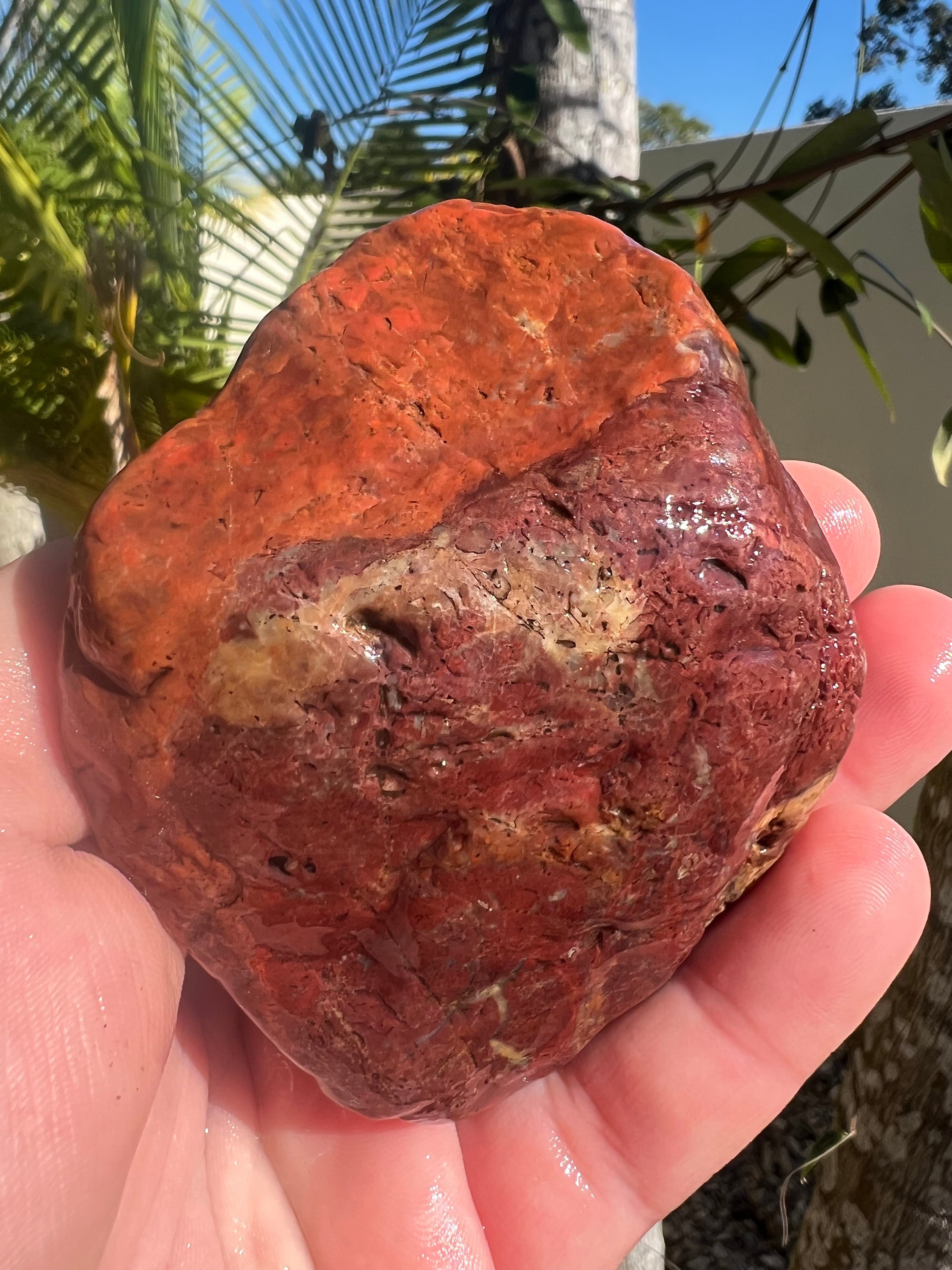 Australian Rough Brecciated Red Jasper Chunk 260 Grams Natural Raw