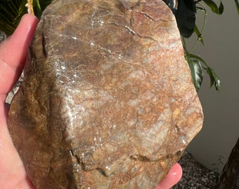 Calcedonio grezzo australiano trasparente da 1510 grammi, rocce da collezione naturali, rocce rare a bande