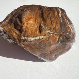 May include: A large, irregularly shaped brown rock with white veins running through it. The rock has a smooth, polished surface.