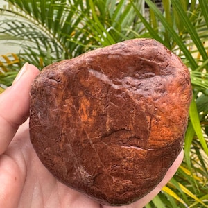 May include: A reddish-brown, smooth stone with a rounded shape. The stone has a textured surface with variations in colour, ranging from dark brown to orange. The stone is held in a hand, with green foliage in the background.