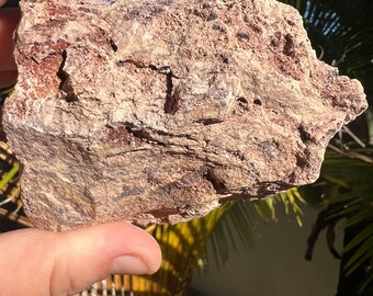 May include: A close-up of a rough, textured, light brown rock with darker brown and reddish-brown streaks and patches. The rock has a slightly irregular shape and appears to be porous.