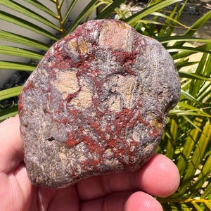 Australian Rough Rhyolite chunk 470 grams Natural Raw Specimen Collector Rocks Gemstone rough form