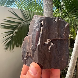 May include: A dark brown, rectangular rock with a rough, textured surface. The rock has a natural, weathered appearance with visible grain and some lighter-colored areas. The rock is held in a hand, with a background of palm trees and a white wall.