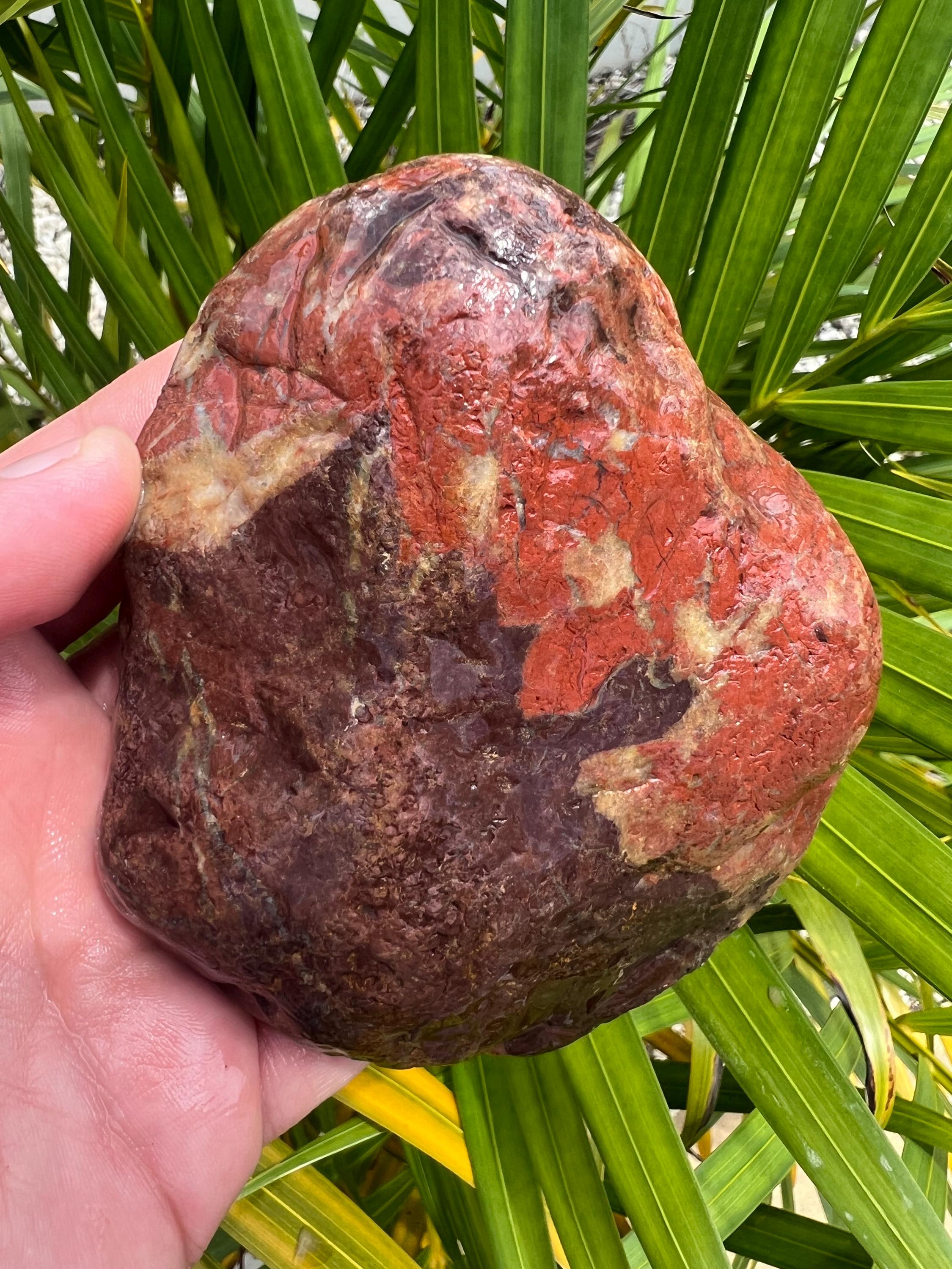 Australian Rough Brecciated Quartz Red Jasper Chalcedony 400 Grams
