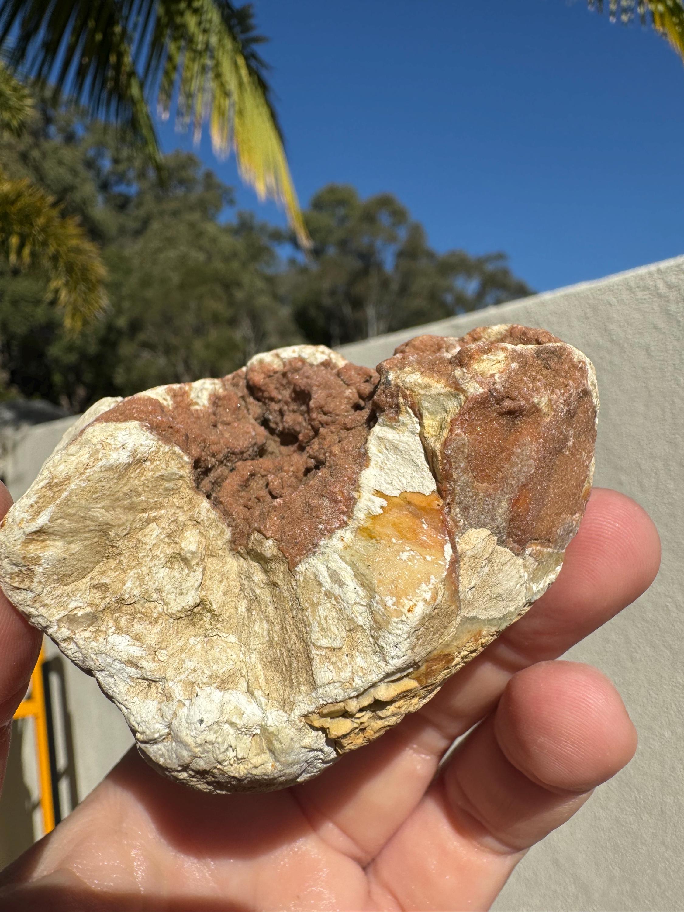 Australian Rough Thunderegg Botryoidal Red Amethyst Druzy Boulder Chunk ...