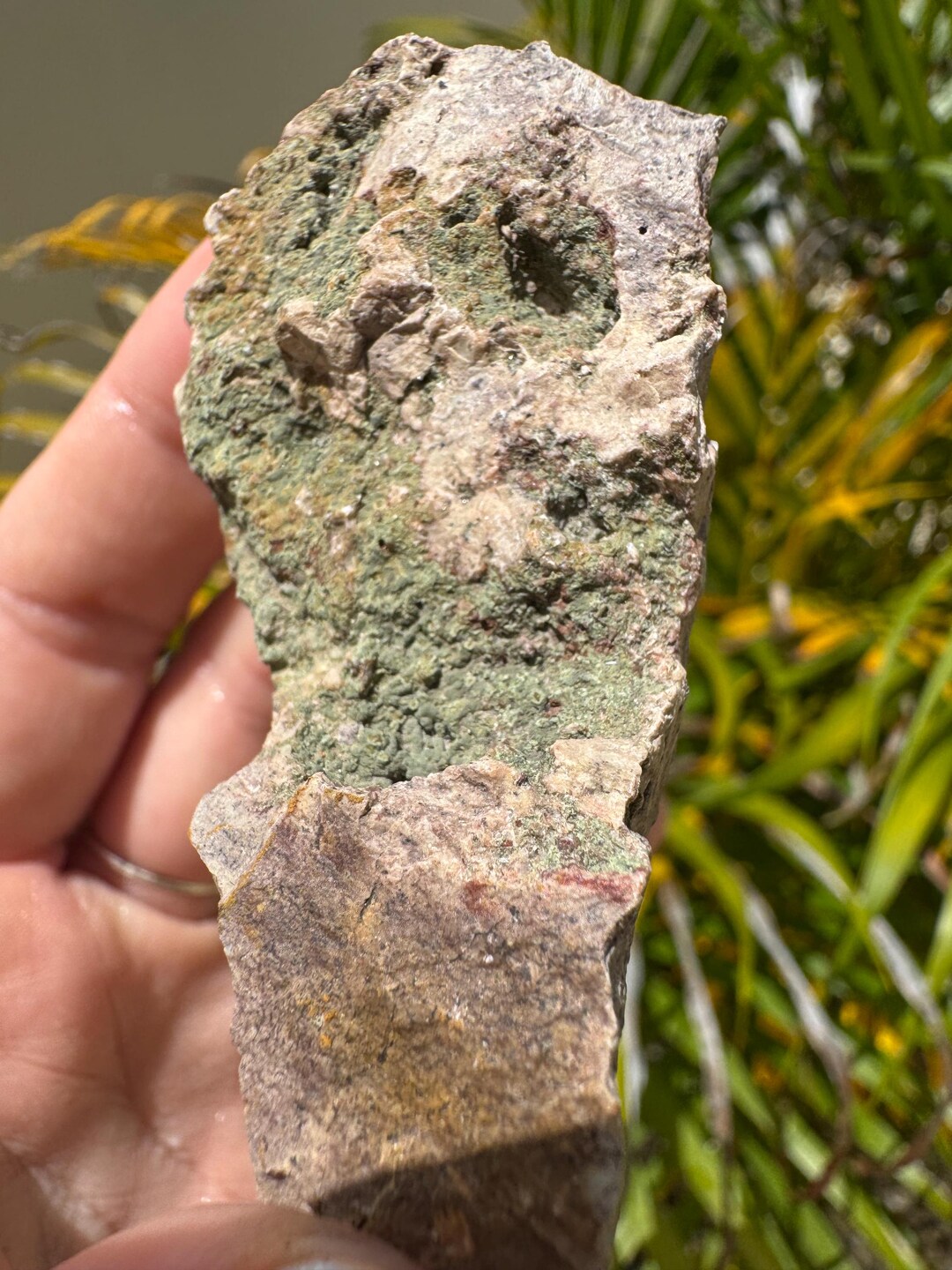 Australian Rough Botryoidal Epidote on Rhyolite Chunk 105 Grams Natural ...