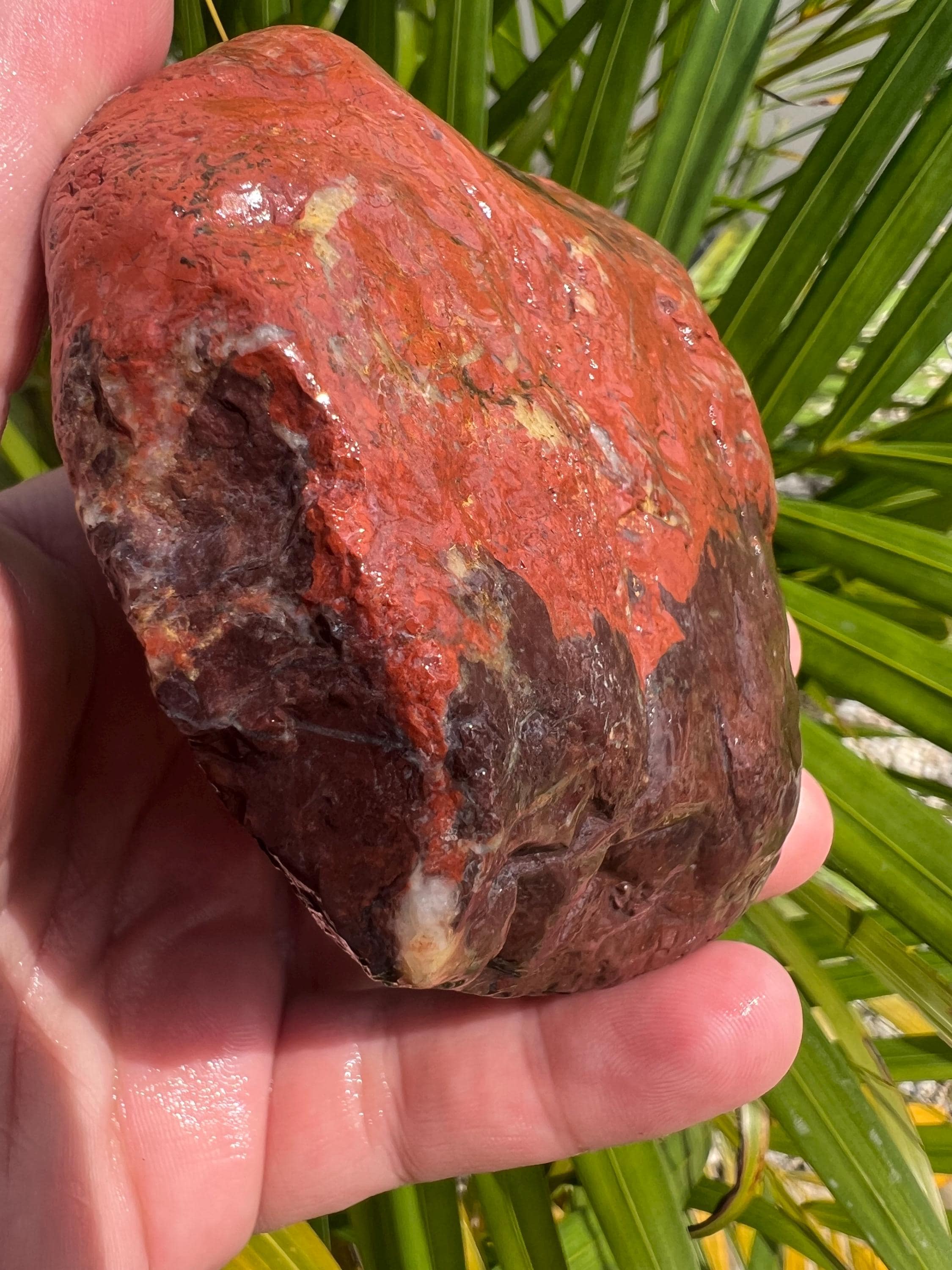Australian Rough Brecciated Quartz Red Jasper Chalcedony 400 Grams