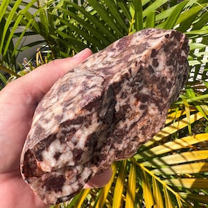 Australian Rough Brecciated Jasper quartz Chalcedony half Chunk 600 grams Natural Raw Specimen Collector Rocks Gemstone  Jasper