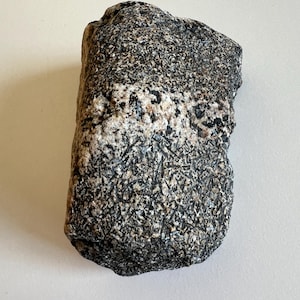 May include: A close-up of a dark gray and white speckled rock with a rough, uneven surface. The rock has a natural, organic shape.