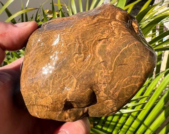 Calcedonio australiano grezzo con zirconi, selce da 490 grammi, rocce da collezione naturali, rocce rare a bande, selce gemmosa