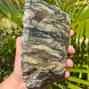 Australian Rough Gemmy Chalcedony Chert 1530 Grams Natural Raw Specimen ...