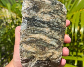 Calcedonio australiano grezzo gemmoso chert 1530 grammi campione grezzo naturale da collezione roccia rocce rare a bande calcedonio
